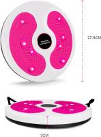 Giratory Disc para La Giro, Giratory Disc para advazar La Giro, multiculonal tabla giratoria para ejercicio con - details 0