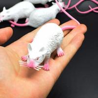 Modelo De Rata Pequeña Falsa Y Realista Juguete De Terror Divertido Para Fiesta De Halloween Decoración Práctica Broma Juguete De Novedad Para Gatos - details 1