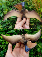 Figuras De Pterodactilo Realistas Pteranodon Juguete De Dinosaurio Volador Modelo Para Pasteles Set De Juguetes Para Niños - details 0