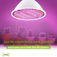 Bulbo De Luz De Crecimiento Para Plantas 25W E27 Espectro Completo LED Para Cultivo Indoor Lámpara De 220V Para Invernadero Y Macetas De Suculentas Y Frutas - details 0