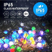Cadena De Luces LED RGBIC Bluetooth 5V Con Controlador De Música Y App IP65 Impermeable Para Decoración De Jardín Camping Atmosfera - details 4