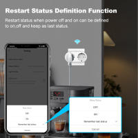 Enchufe Inteligente WiFi Tuya 2 En 1 EU Doble Salida 16A Con Monitoreo De Energía Compatible Con Alexa Google Home Alice - details 9