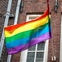 Bandera Arcoíris De Poliéster Para Exterior Grande Banderín De Fiesta LGBT Bandera Colgante De Paz (90x150cm) Para Exterior - details 1