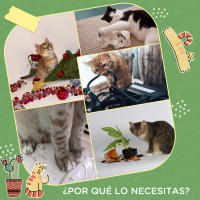PawHut Poste Rascador para Gatos en Forma de Cactus Pequeño Árbol Rascador para Gatos con Poste de Sisal y Felpa Pelota Colgante y Base con Juego de Madera 32x32x60 cm Verde - details 5