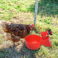 6-36Pcs Copa De Bebida Automática Para Pollos Pato Plástico Fábrica De Pollo Instalación Fácil Dispensador De Alimentos Para Pájaros - details 4