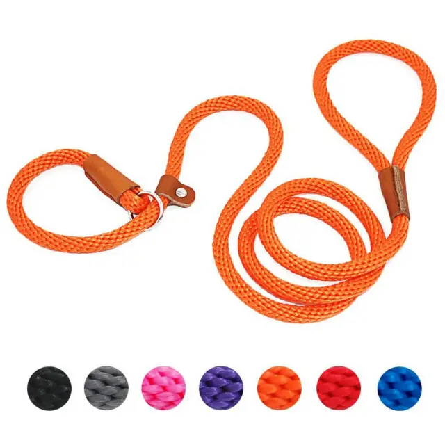Correa Y Collar De Nylon Duradero Para Perros Medio Y Grande 2 En 1 Ajustable Cómodo Con Anillo De Solución Para Mascotas - 1