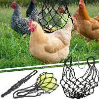 Bolsa De Red Para Alimentos De Pájaros Grande Porta Frutas Y Verduras Para Pollos Galinas Gansos Herramienta De Alimentación Para Pájaros - details 2