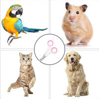 Tijeras De Podar Uñas Para Mascotas Gatos Perros Gerbils Conejos Y Otros Pequeños Animales Herramienta De Grooming Portátil Para El Hogar - details 1