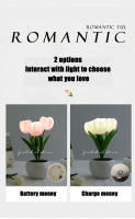 Lámpara De Noche LED En Forma De Tulipán Para Dormitorio Lámpara De Mesa Simulación De Ramo De Flores Atmosfera Romántica Regalo De Cumpleaños Decoración Del Hogar - details 7