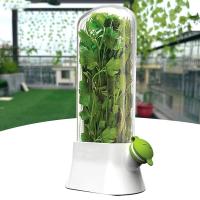 Contenedor De Almacenamiento Para Hierbas KAURIJIA Ecológico Plástico Capacidad 250ml Guarda Frescura De Cilantro Menta Parsley Y Asparagus En Cocina - details 1