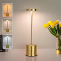 Lámpara De Mesa Clásica De Metal Recargable Por USB Luz Nocturna Sin Ajuste De Intensidad Táctil Decoración Para Hotel Y Bar 3 Niveles De Iluminación Para El Hogar - details 0