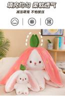 Muñeco De Peluche Transformable En Fresa Y Conejo De Zanahoria 25CM Juguete Suave Regalo Ideal Para Niños Y Adultos - details 11