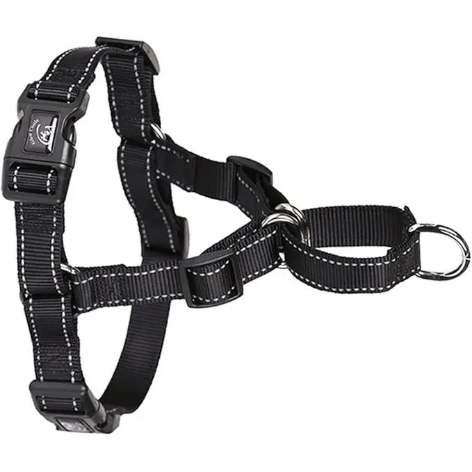 Verde Arnés para Perros de Nylon Reflectante - 1