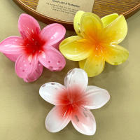 Pinza Para El Pelo De Moda Con Flores De Huevo Estilo Bohemio Para Mujeres Accesorios De Pelo Para Vacaciones En La Playa Gran Pinza Para El Pelo Para Niñas - details 1