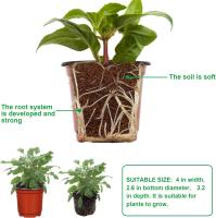 Macetas De Plástico Para Plantas Y Semillas (Rojo) 50 Piezas Juego De Contenedores Para Flores Ideal Para Interior Y Exterior - details 6