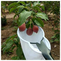 Recogedor De Frutas Para Jardín Con Cuchilla Y Bolsa De Recolección Herramienta De Cosecha Para Árboles Altos Resistentes Al Desgaste Tamaño 37cm Negro - details 1
