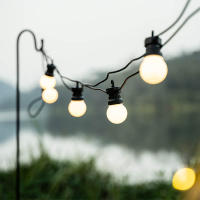 Luces De Navidad LED Impermeables G50 Para Camping Y Tent Decoración De Fiesta De Boda Adorno De Arco Iris De 23M Con Bombillas Globales - details 5