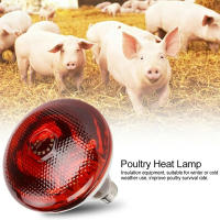 Lámpara De Calor Infrarrojo Para Ponedero 250W Impermeable Antigolpes E27 Para Pollos Pato Cerdo Y Otras Aves De Corral - details 1