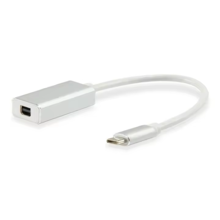 Equip Cable USB Tipo C Macho a Mini DisplayPort Hembra 15cm - 1