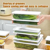 Caja De Almacenamiento De Alimentos Para Nevera Con Tapa De Plástico Acero Inoxidable Y Plástico Para Mariscos Frutas Verduras Caja De Picnic Moderna - details 38