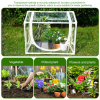 Casa De Hierbas Verde Plástico PVC Transparente Para Exterior Con Puerta De Ventanasdores Portátil Mini Jardín Accesorios - details 6