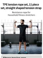 Set De 11 Bandas De Resistencia TPE Para Fitness Con Manijas Y Bolsa De Transporte Cinta Elástica De Entrenamiento Para Piernas Y Tobillos - details 0