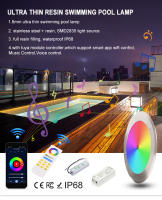 Luz Submarina RGB 12V IP68 LED Para Piscina Control Remoto Por App 18W 25W 35W Decoración De Fiesta De Piscina Farol De Fuente - details 1