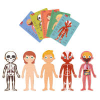 PUZZLE CUERPO HUMANO 240 PIEZAS 70CM APLI KIDS - details 2