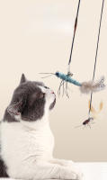 Juguete Interactivo Para Gatos Dr.DC Con Pluma De Libélula Y Cabeza De Ratón Opcional Con O Sin Cable Accesorios Divertidos Para Mascotas - details 0