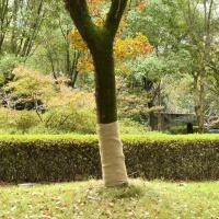 vidaXL Rollo de Yute Tela Arpillera Camino de Mesa 100% Yute 200 gsm Dimensiones 1 x 5 m,  1 x 10 m,  1 x 25 m y mas - details 2