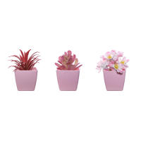 Set De 3 Plantas Miniatura En Macetas Simuladas Para Decoración De Hogares Restaurante Mesas Ventanas Y Estantes Material Plástico Estilo Bonsái - details 6