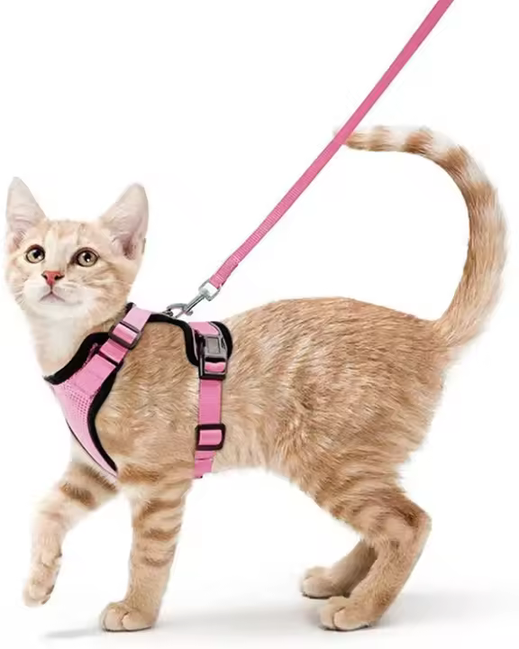 ATUBAN Juego De Correa Y Arnes Para Gato Estilo Elegante Prueba De Fuga Arnes Ajustable Transpirable Con Encaje Reflector - 1