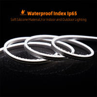 Tira De Lámpara Neón LED Impermeable Dimmable DC12V/24V Con Enchufe EU Para Iluminación Interior Y Exterior 1M 2M 3M 5M 10M - details 4