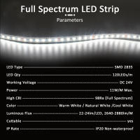 Tira De Luz LED Flexible Ra98 24V 10M 5M SMD2835 120LEDs Alta CRI Iluminación Suave Para El Hogar No Impermeable 6000K - details 1
