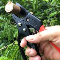 Tijeras De Podar Profesional Con Engranaje Segmentado Y Anillo Para Mano Ahorro De Fuerza Para Podar Ramales En Jardín Y Frutas - details 2