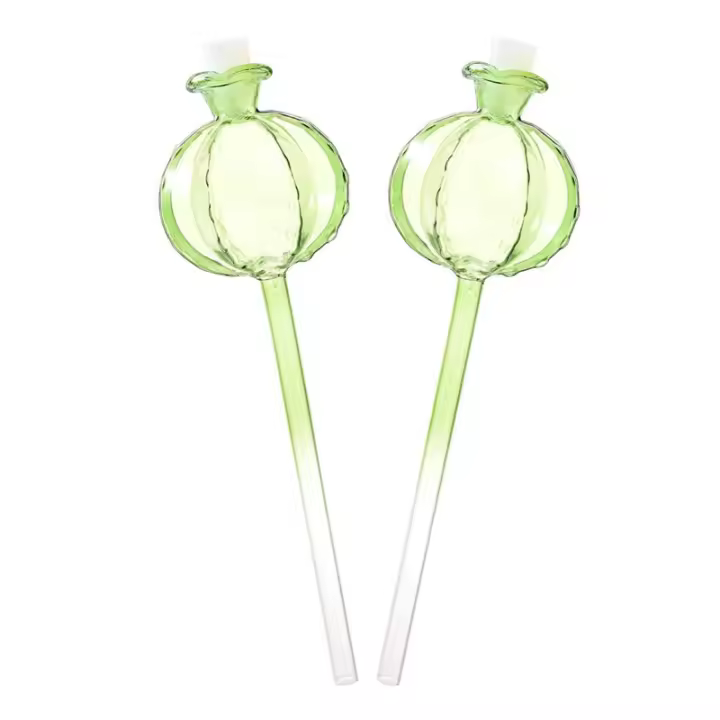 Juego De 2 Globos De Riego Para Plantas En Vaso De Vidrio Dispositivo De Autopercolación Para Flores Bonsái Jardín Interior Exterior - 1