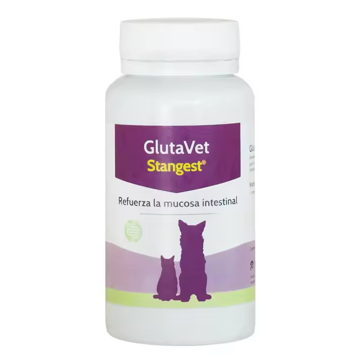 GlutaVet 60 comprimidos suplemento gastrointestinal para perros y gatos Stangest - 1