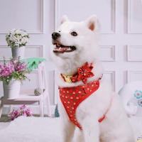 Set De Correa Y Amuleto Para Perros Con Accesorio Floral Navideño Para Chihuahua Pug 3 Piezas Ajustable Transpirable De Tamaño XS/S/M - details 11