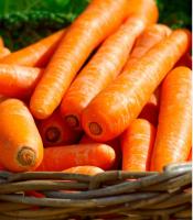 Plantel de Huerta Pack x 10 unidades | 5 Zanahoria + 5 Coliflor Skywalker | kit de huerto Organica plantines de huerta | arma tu propias ensaladas | lechuga | tu huerta en casa | calidad excelencia | huertas natural | citrus Flowers plants  vivero online - details 0