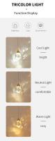 Lámparas Colgantes De Cristal LED De Lujo Para Sala De Estar Comedor Dormitorio Cocina Bar Café Decoración Interior Instalación Por Cuerda Moderno - details 4