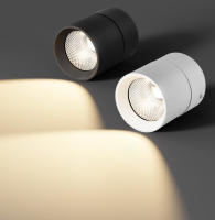 Lámpara De Techo LED Plegable Spots Para Decoración De Habitaciones Y Pasillos Fuente De Luz LED Material De Aluminio - details 1