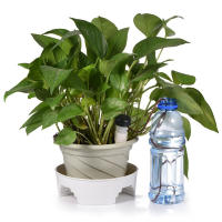 8Pcs Pitones De Cerámica Autoidal Para Riego De Plantas Interiores Sistema De Rociado Automático Para Cultivos En Interior - details 2