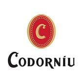 Cava Anna Codorníu Brut Nature 75 cl x 6 botellas. Total 4.5 litros - details 0