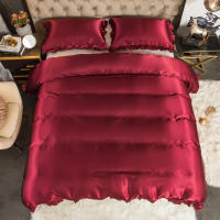 Set De Edredón Satinado 3PCS Rosa Y Rosa Claro Seda Suave Con Volante Patrón De Lujo Colchón Funda De Edredón Moderno Para Cama - details 19