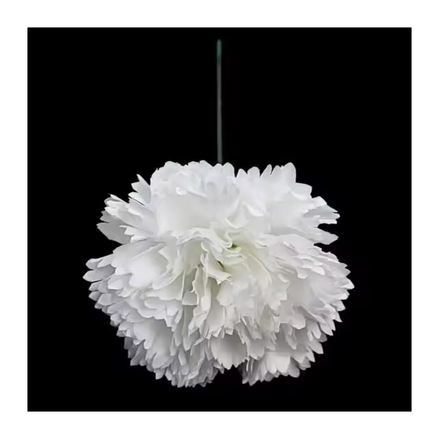 CLAVEL DE TELA ø9CM Raíz FLORES Productos de Google Shopping Inicio NOVEDADES FLORES DE TELA - 1