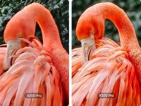 Teléfono - vivo X300 Pro, Versión Española , 5G Smartphone,16 GB+512 GB, Cámara teleobjetivo ZEISS APO de 200 MP, MediaTek Dimensity 9500 , Android 16,  5440 mAh, 6,78" AMOLED, eSIM , NFC, IP68/IP69, 7.99mm - details 25