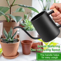 Botella De Riego De 1L Con Mango De Madera Y Boquilla Larga De Acero Inoxidable Para Plantas De Interior Jardín - details 1