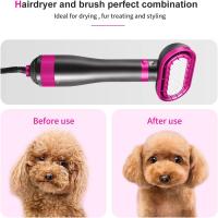 Secador de pelo para perros | Secador de pelo 2 en 1 para mascotas con cepillo pulidor reemplazable | Temperatura ajustable | Secador de pelo profesional para mascotas | Para perros y gatos pequeños y medianos - details 2