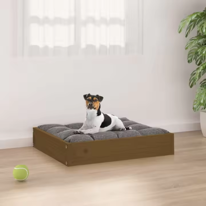 Cama para Perros Madera maciza Pino marron Miel 51,5x44x9 cm - 1