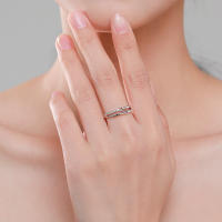 Anillo Fino Europeo de Plata de Ley S925 con línea de Doble Capa AAA CZ para Mujer, joyería de regalo de Boda para Fiesta de cumpleaños - details 4